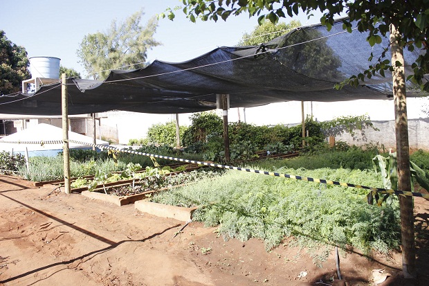 Escola conta com uma horta. Foto: Arquivo da escola 